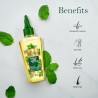 Vatika Rosemary & Mint plaukų aliejus 100 ml