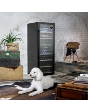 Caso | Smart Wine Cooler | WineExclusive 126 | Energy efficiency class G | Free standing | Bottles capacity 126 bottles | Cooli