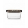 Caso Glass Vacuum Container with Plastic Lid | VacuBoxx Eco M | Transparent