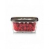Caso Glass Vacuum Container with Plastic Lid | VacuBoxx Eco M | Transparent