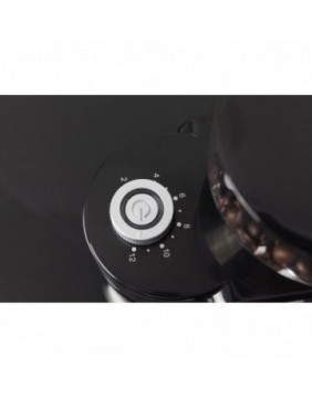 Caso | Coffee grinder | Barista Crema | 150 W | Coffee beans capacity 240 g | Number of cups 12 pc(s) | Black