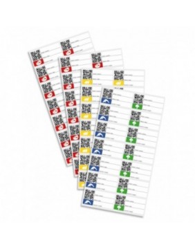 Caso | Foil rolls | 01223 | 2 units | Dimensions (W x L) 28 x 600 cm | Ribbed