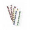 Caso | XXL profi foil roll | 01224 | 1 unit | Dimensions (W x L) 40 x 1000 cm | Ribbed