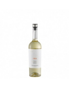 Caso | WineLock | 01257 | 3...