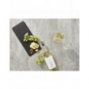 Caso | WineLock | 01257 | 3 pcs | White
