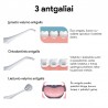Burnos irigatorius OSOM Oral Care Silver OSOMORALWF128SILV