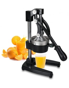 Zyle Profesionali citrus....