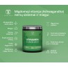 SAPIENS Ašvaganda guminukai
