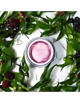 When® Berry Dual Gel & Cream miego kaukė nuo senėjimo 100 ml.